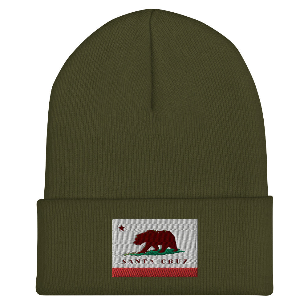 Green Santa Cruz Beanie