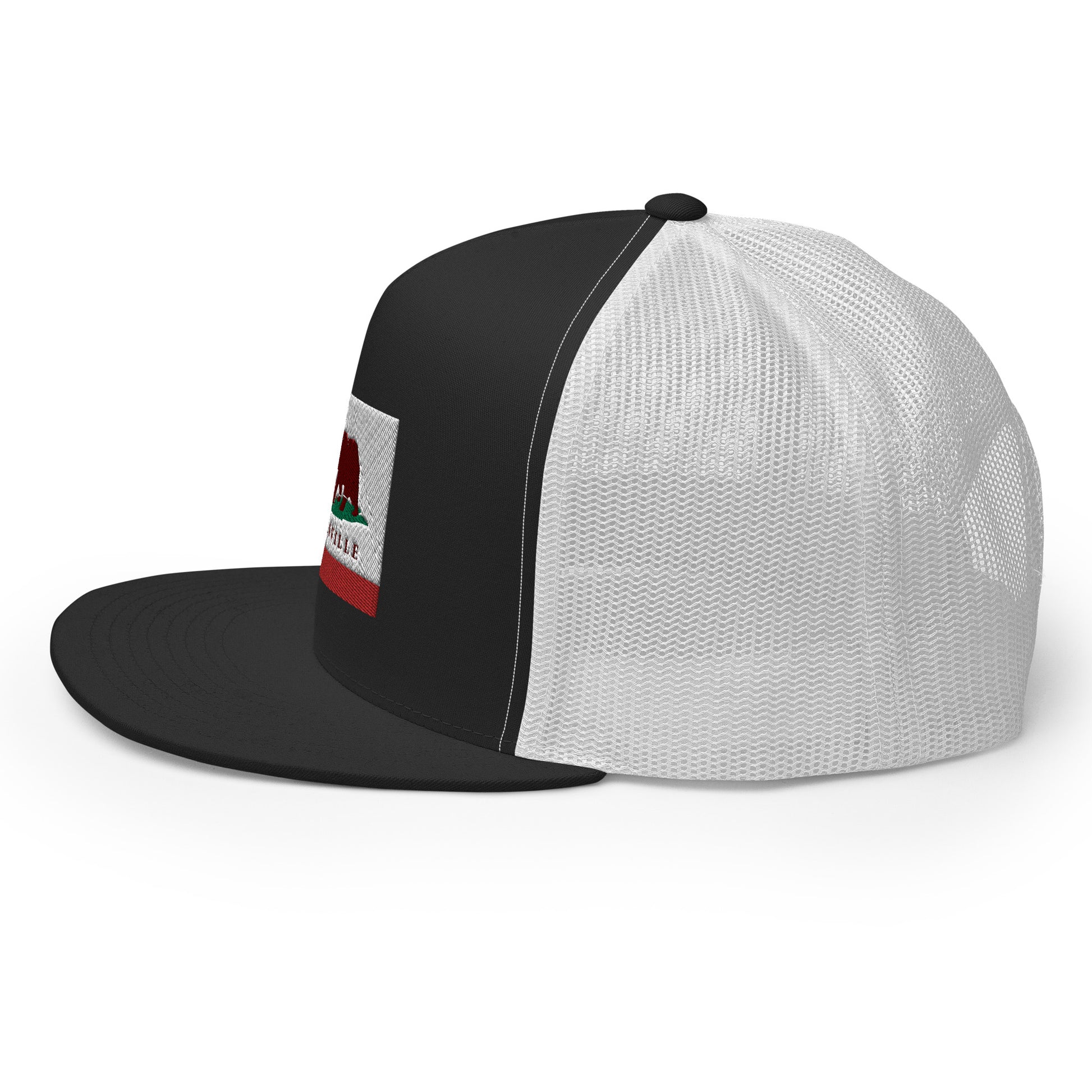 danville snapback