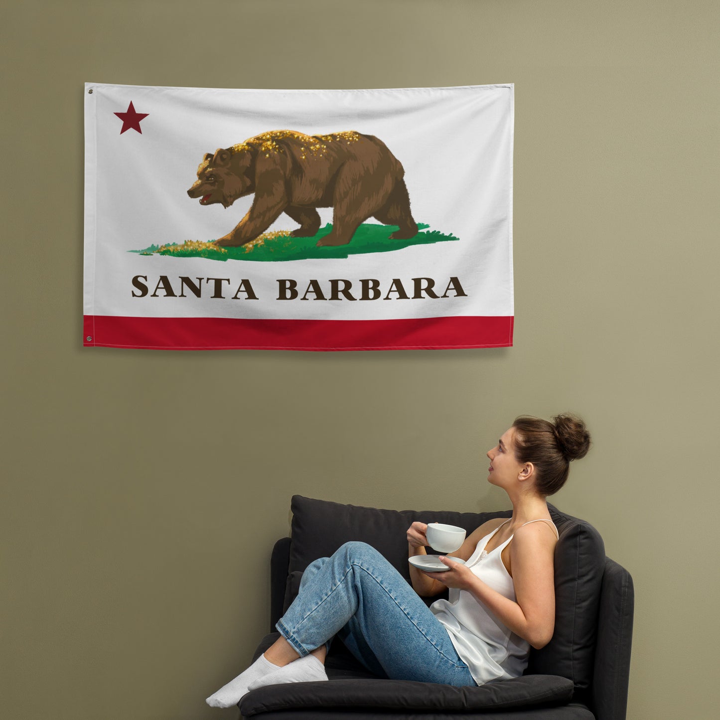 Santa Barbara Wall Flag