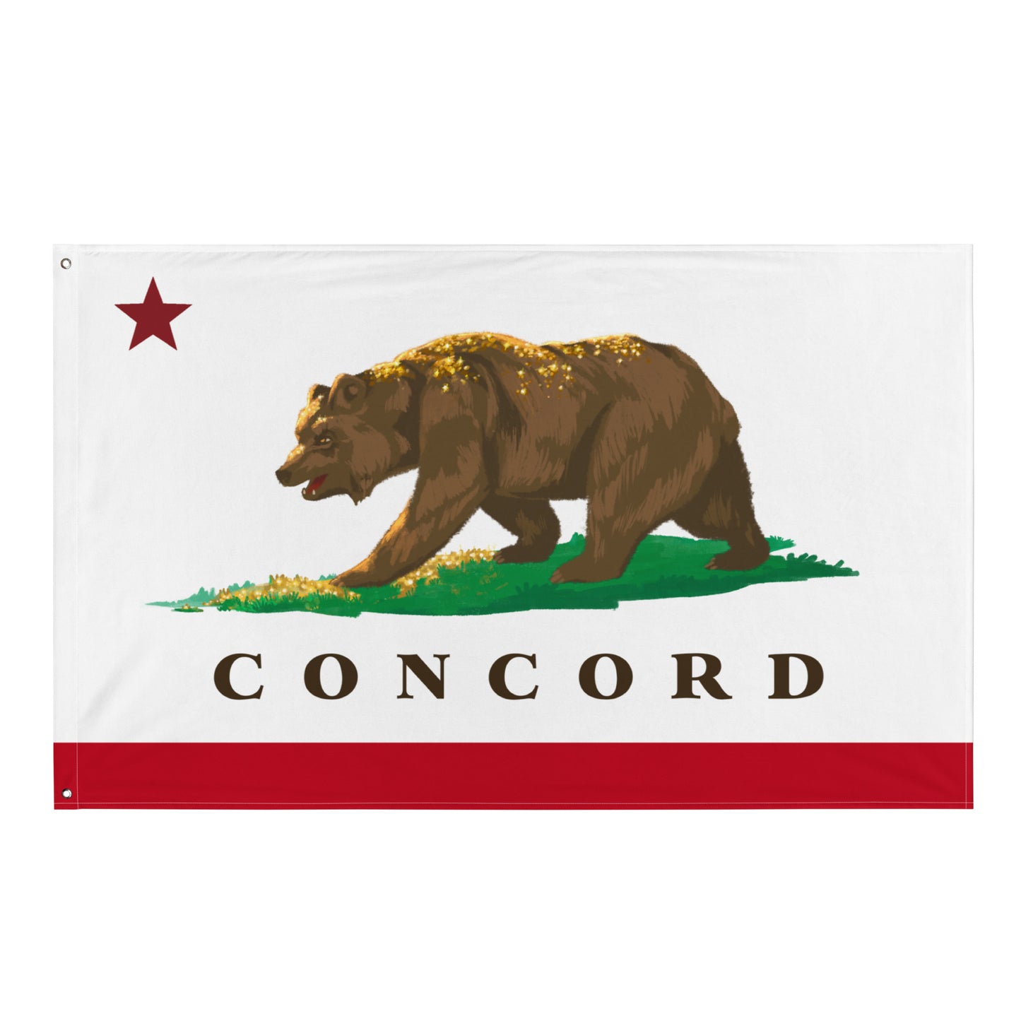 Concord CA City Flag