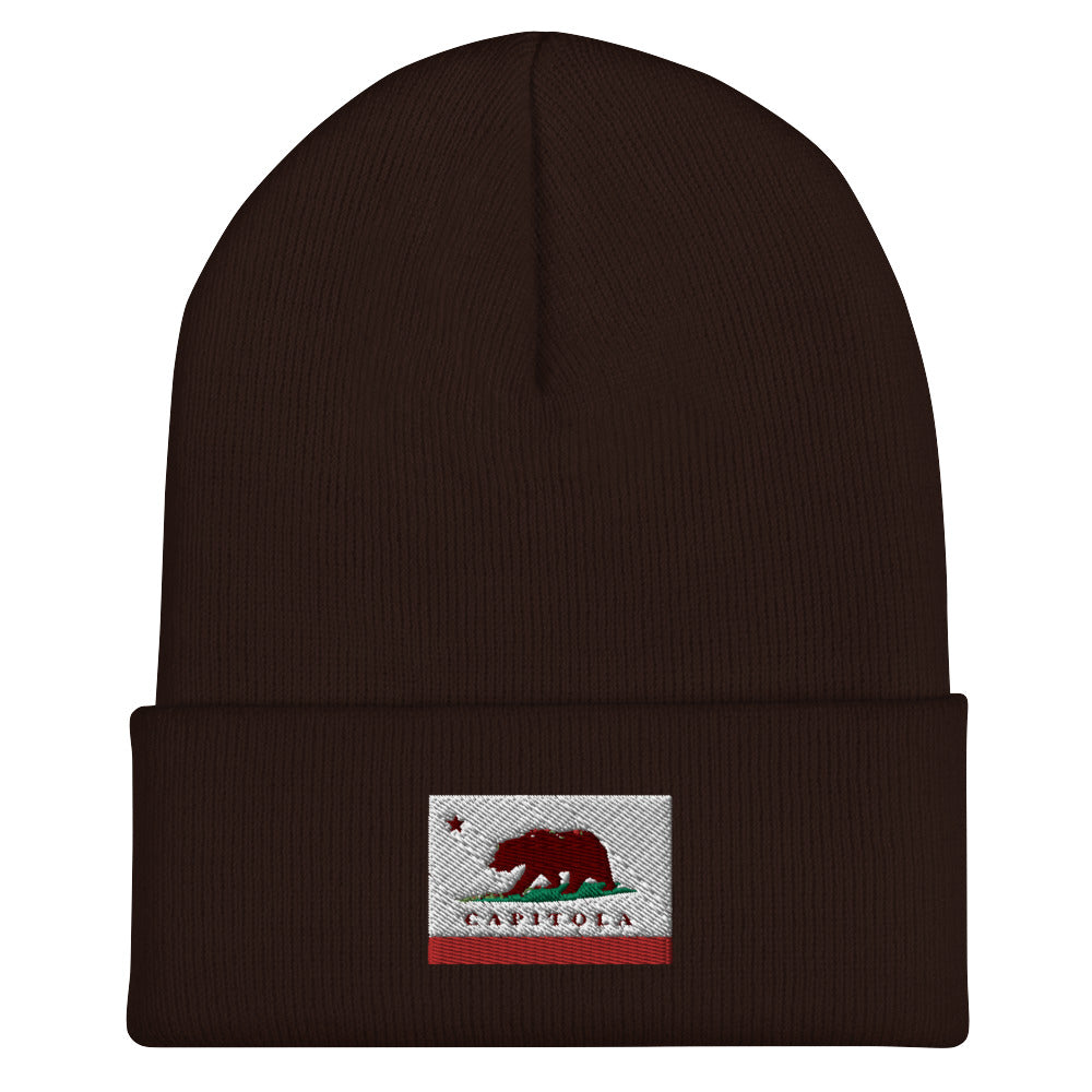 Brown Capitola CA Beanie