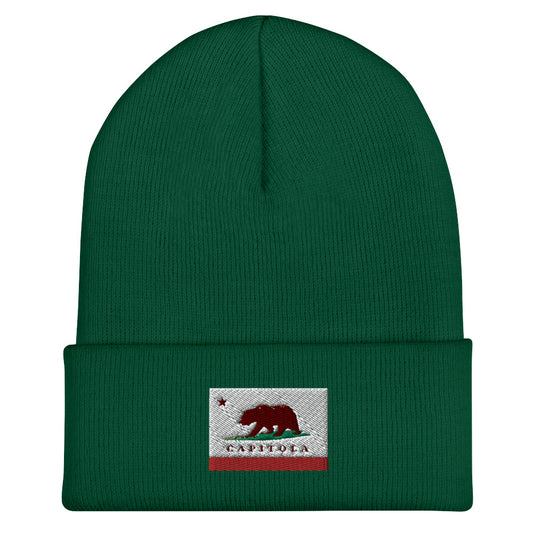 Green Capitola CA Beanie