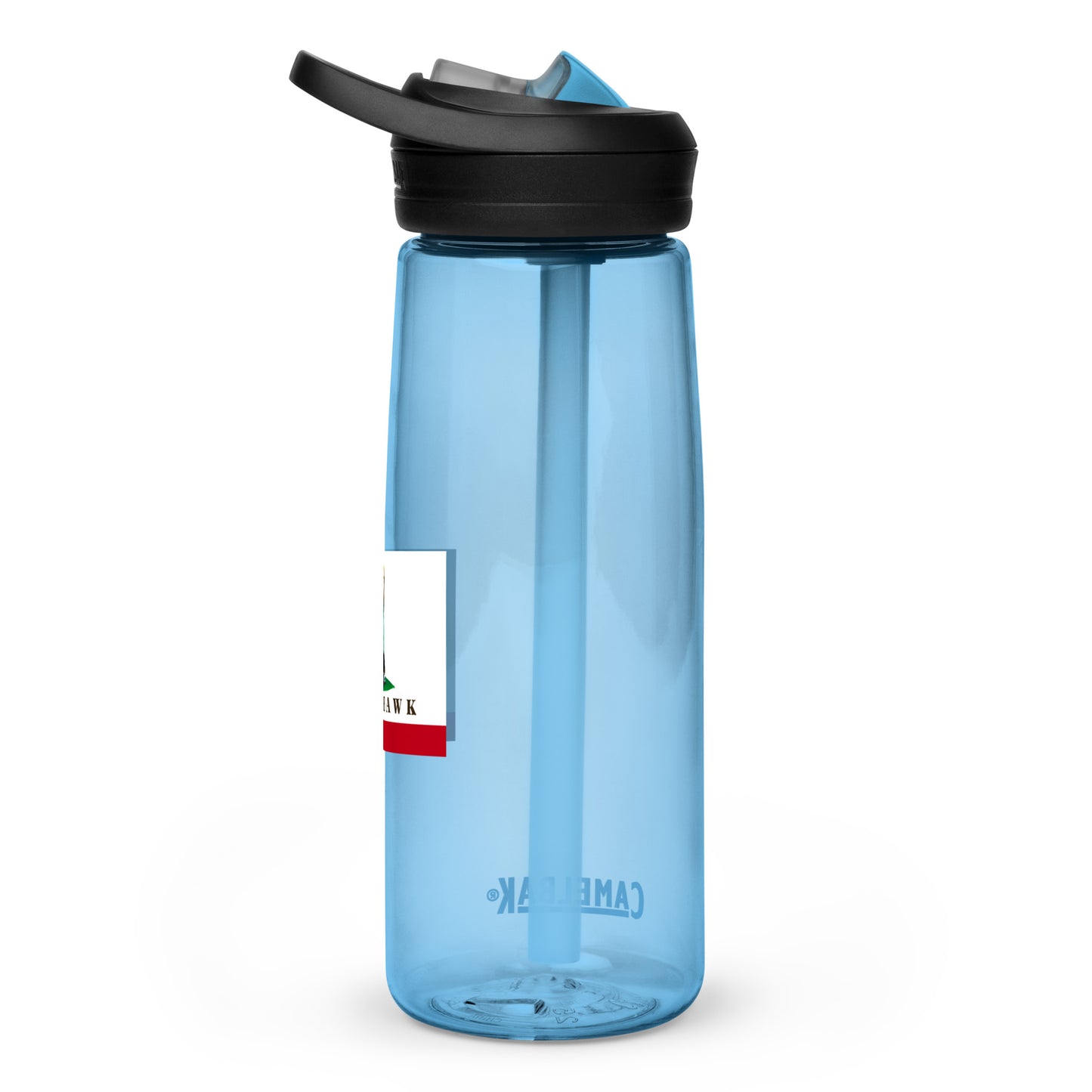 Sports water bottle