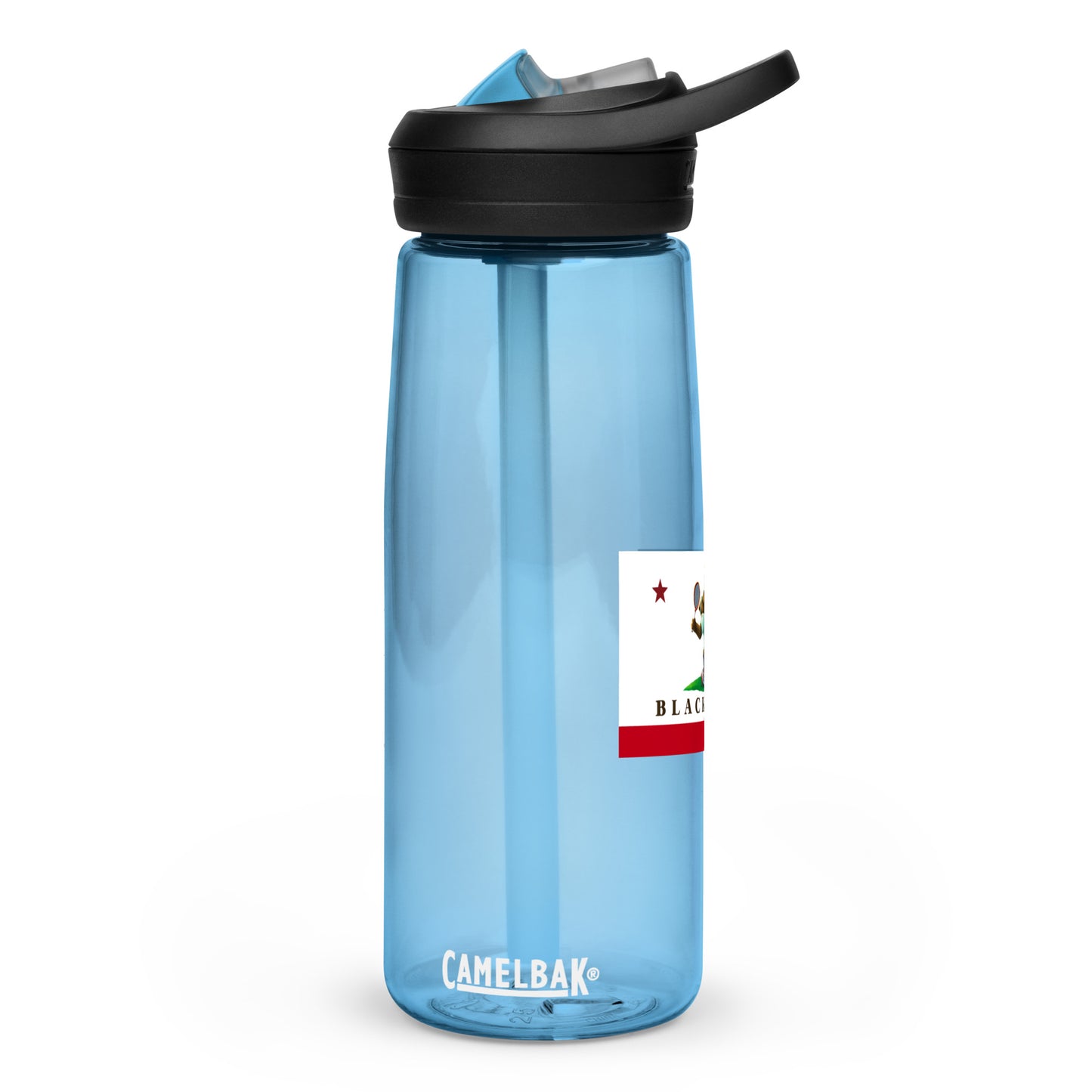 Sports water bottle