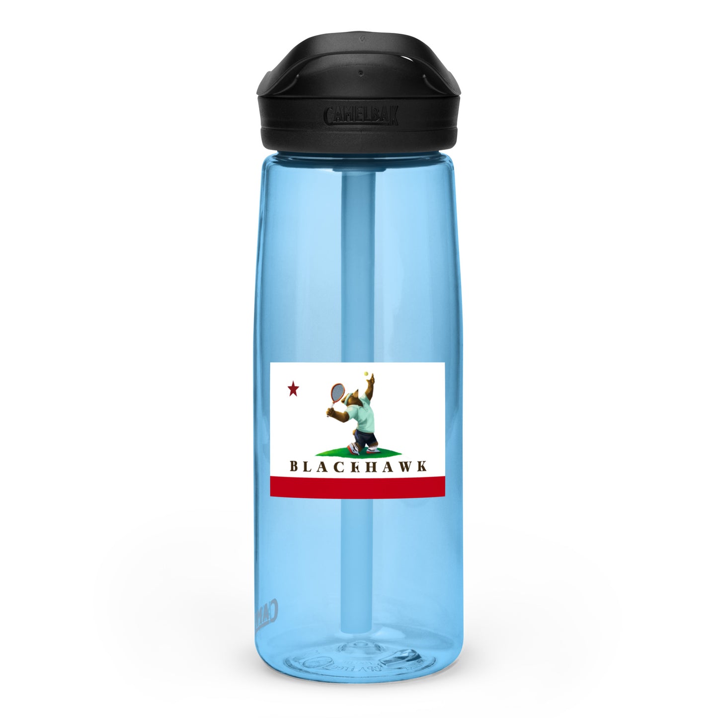 Sports water bottle