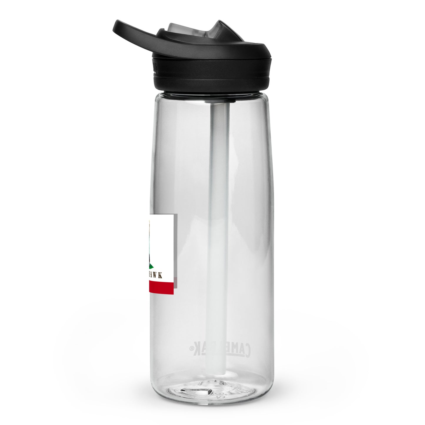 Sports water bottle