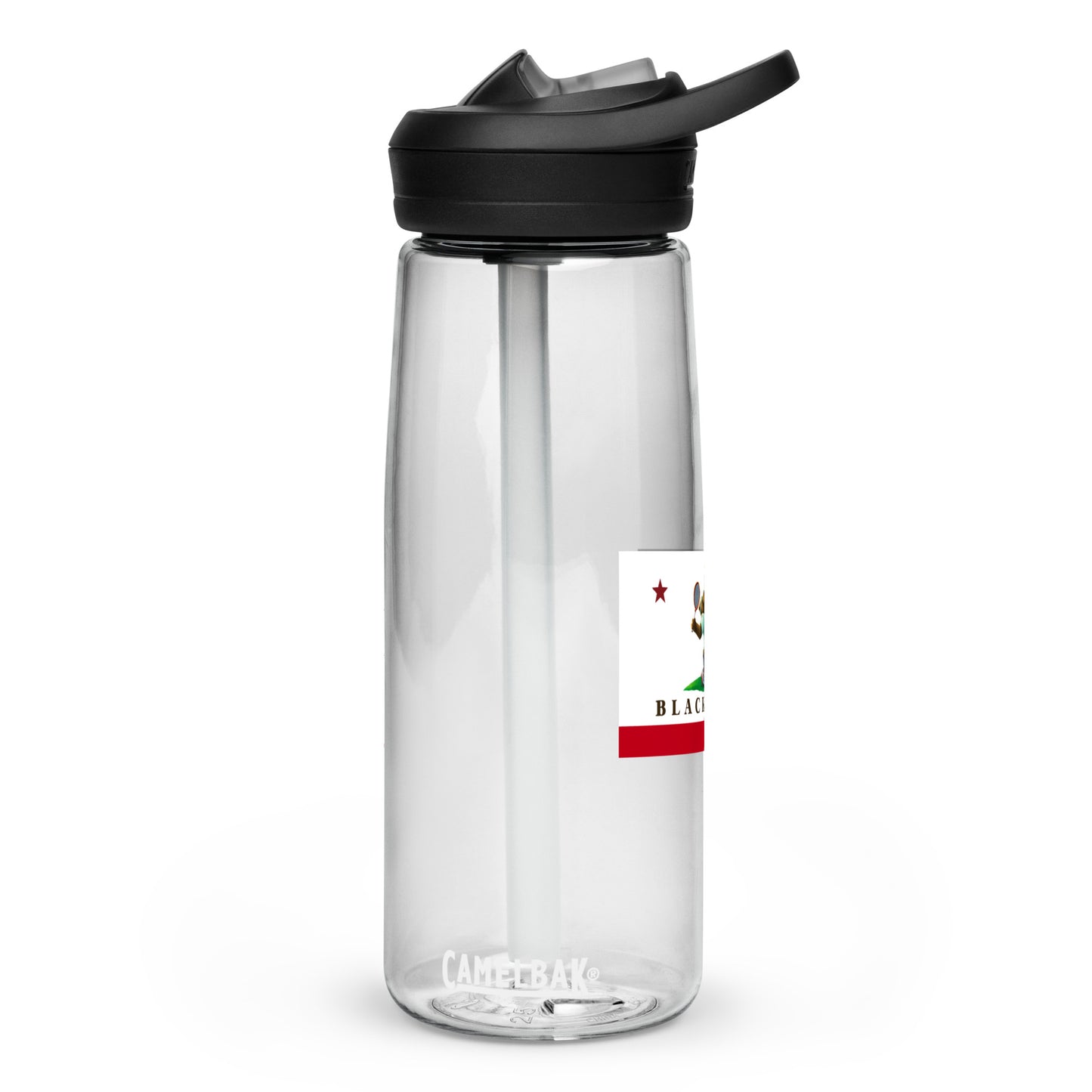 Sports water bottle