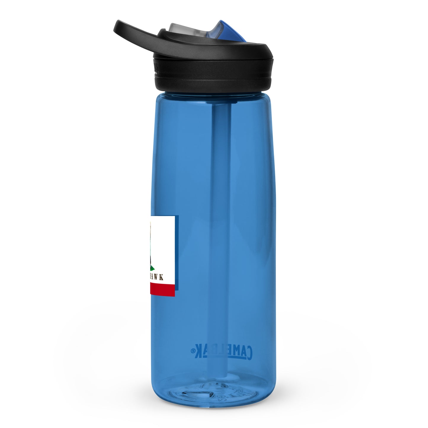 Sports water bottle