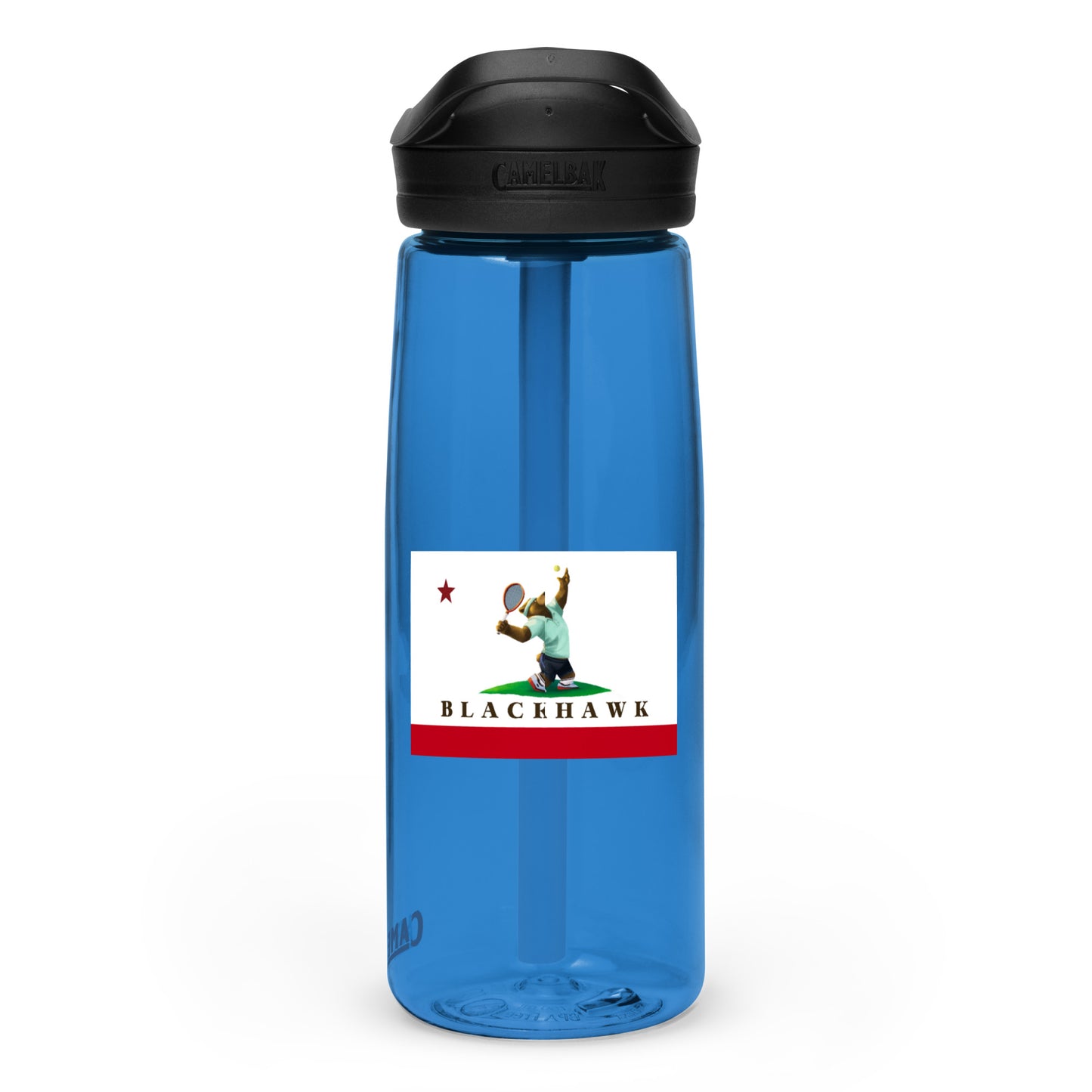 Sports water bottle