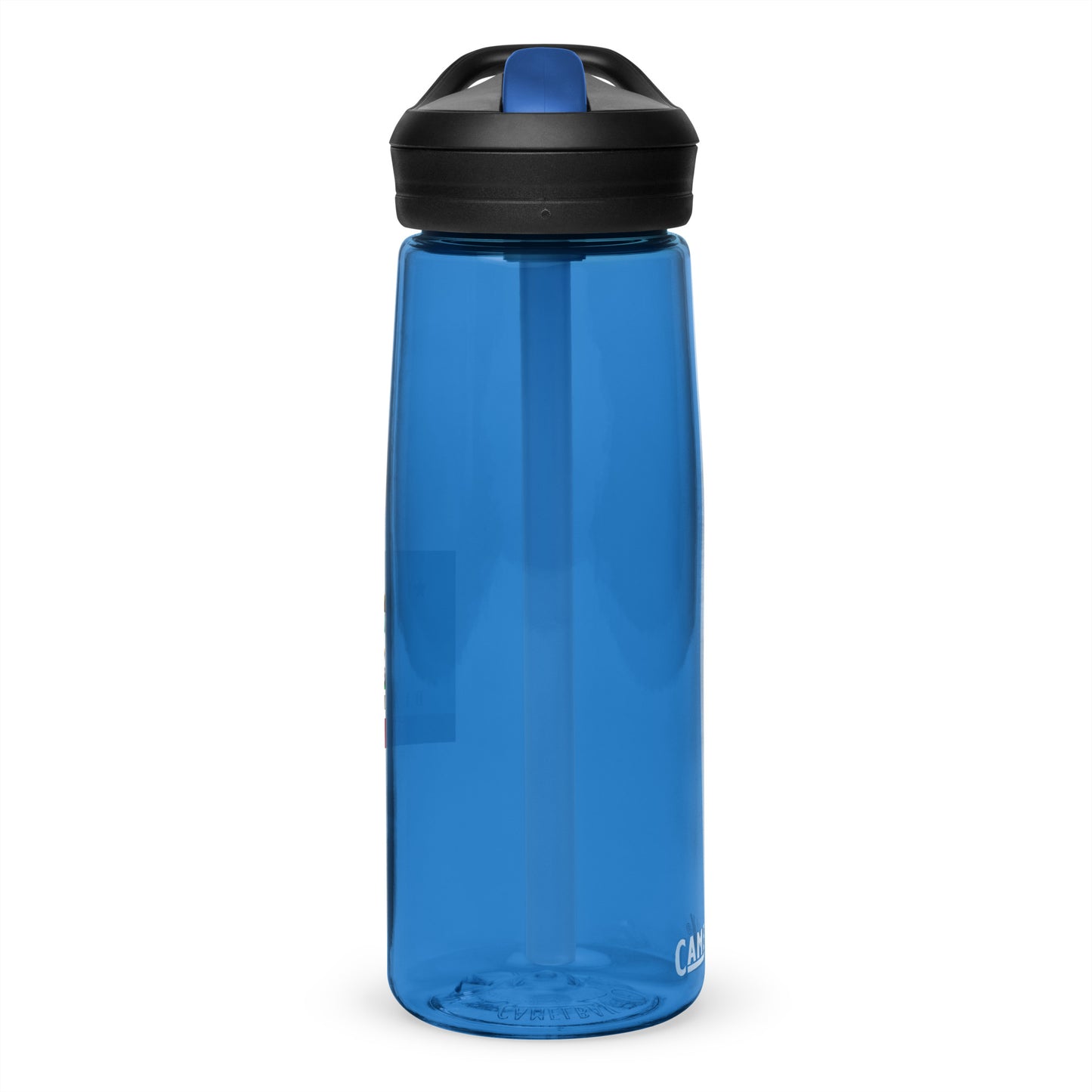 Sports water bottle