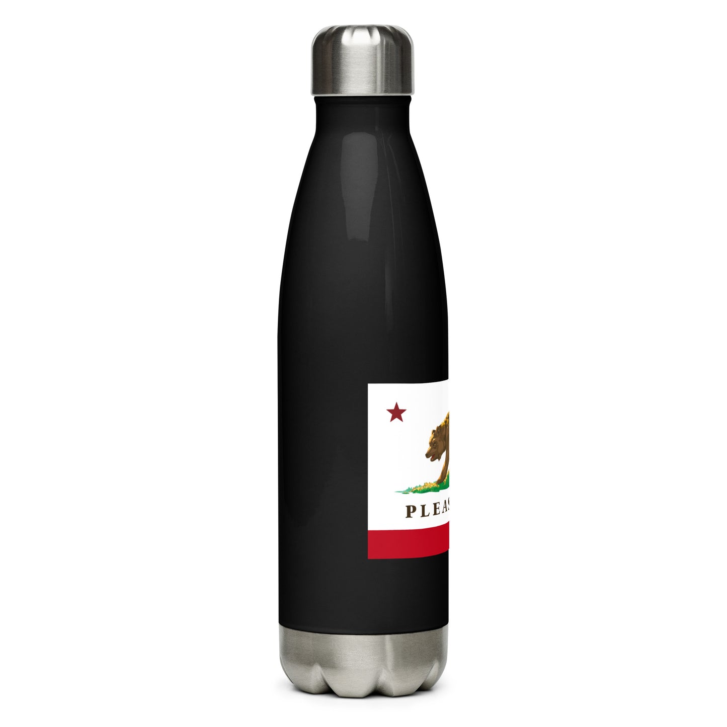 Pleasanton Stainless steel water bottle