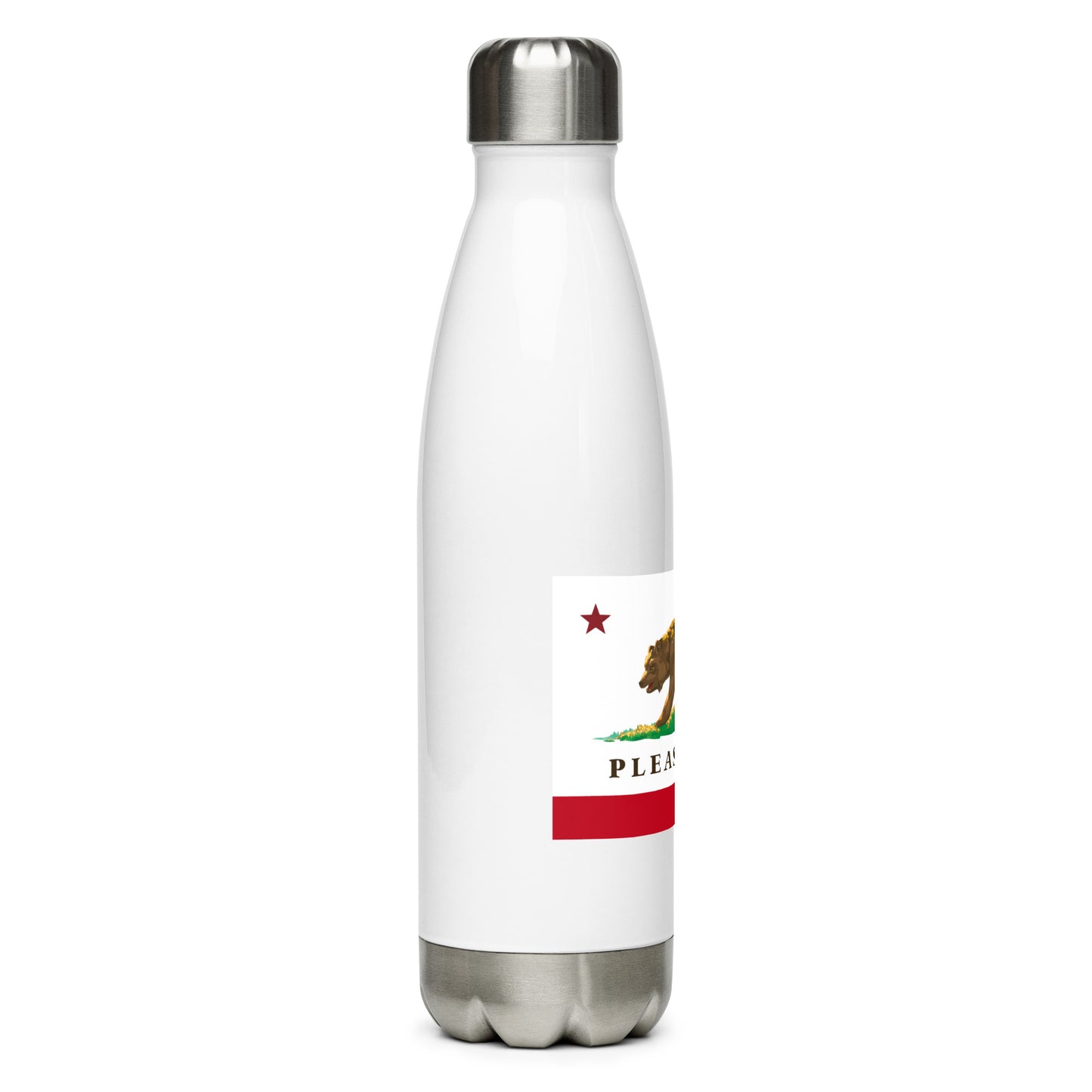 Pleasanton Stainless steel water bottle